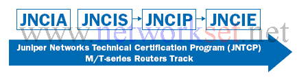 mt_series_track