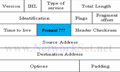Protocol numpers