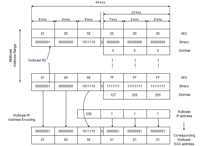 Layer-2-multicast1