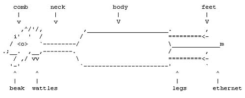 layer-8-1