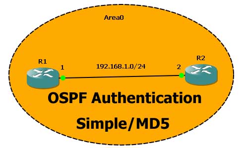 ospf authentication